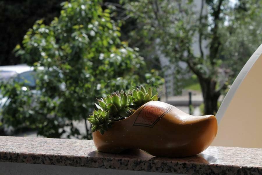 Apartment Suzy Fažana Zewnętrze zdjęcie